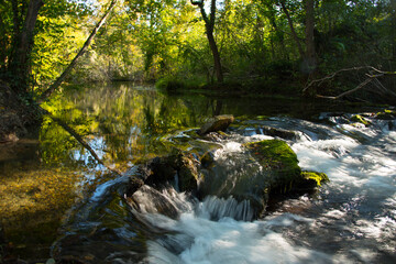 Grand Ried nahe Marckolsheim im Elsass