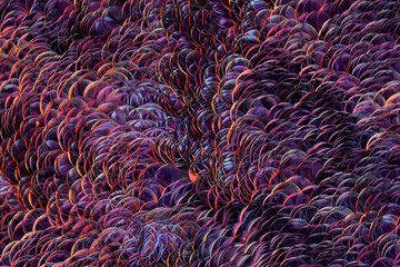 Growing wavy particles, abstract color background, 3d rendering.