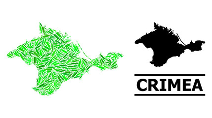 Drugs mosaic and usual map of Crimea. Vector map of Crimea is created with randomized vaccine doses, addict and alcohol bottles. Abstract territorial scheme in green colors for map of Crimea.