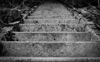 Treppe