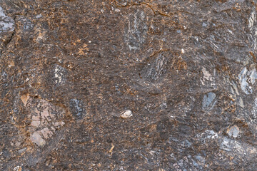 dark color rock background and texture