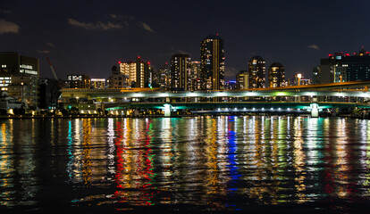 Fototapeta premium Dark skyline of Tokyo city at night with illuminated buildings, low horizon, empty space for caption.