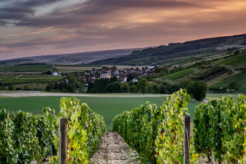 Dans les vignes un regard sur le village de Chitry le Fort