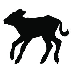 Hand drawn vector silhouette of standing calf isolated on white background. Black and white  stock illustration of baby cow.