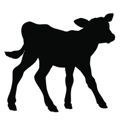 Hand drawn vector silhouette of standing calf isolated on white background. Black and white  stock illustration of baby cow.