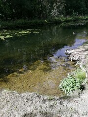 Une balade à CHANTILLY