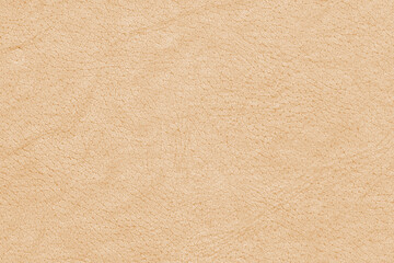 Vintage and old looking paper background. Retro book cover. Ancient book page.