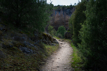 A path among the trees in the sickles of the Duratón river, Segovia, Spain.