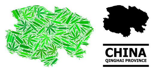 Drugs mosaic and solid map of Qinghai Province. Vector map of Qinghai Province is formed with randomized inoculation icons, dope and alcohol bottles.