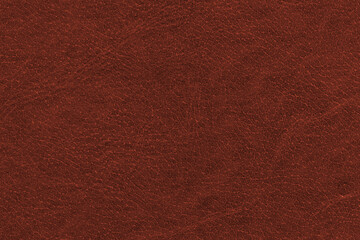 Vintage and old looking paper background. Retro book cover. Ancient book page.