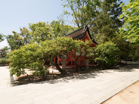 Santuario Kitano Tenmangu, en Kioto, Jap&oacute;n