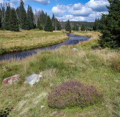 River meandering at a mountain meadow in Sumava National Park