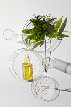 Cbd htc canabbis oil in laboratory. Concept of medicine.