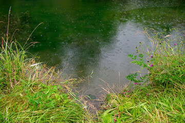 Old Irish Canal