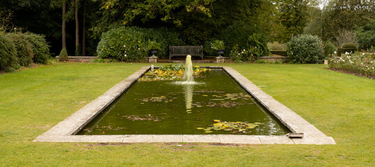 Green water from a lily pond fountain.