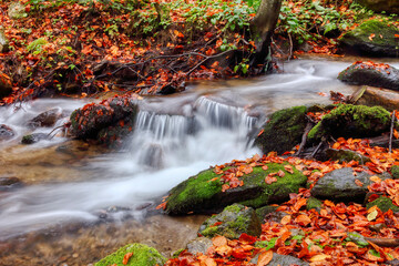 Naklejka na ściany i meble Mountain stream in autumn. Stream in the forest.