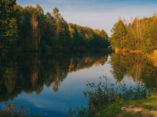 Forest wild lake and autumn forest landscape