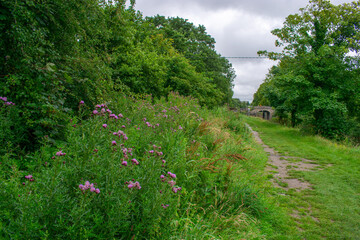 Ancient Irish Canal Bridge