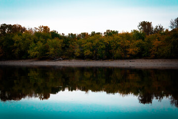 reflection of trees in water