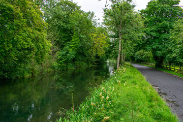 Fototapeta na wymiar Beautiful Irish Canal