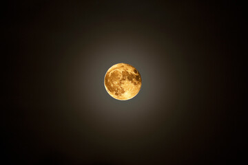 golden moon