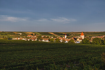 Fototapeta na wymiar Oberretzbach und Mitterretzbach mit Weingärten