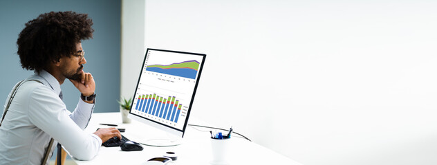 Business Data Analyst Using Computer