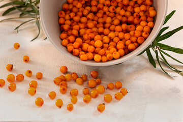 Freshly picked sea buckthorn berries in a grey bowl on light grey concrete background
