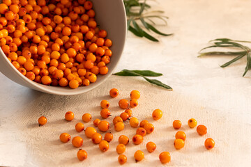Freshly picked sea buckthorn berries in a grey bowl on light grey concrete background