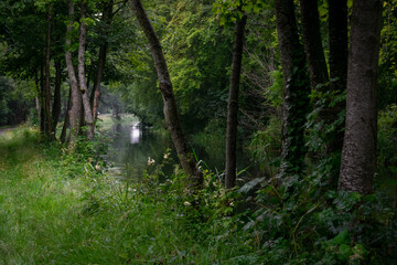 Irish Canal on a Wet Day