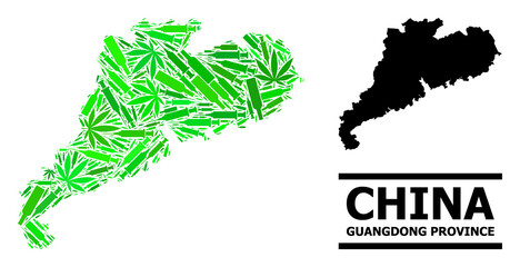 Addiction mosaic and usual map of Guangdong Province. Vector map of Guangdong Province is made from randomized vaccine symbols, herb and wine bottles.