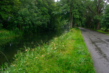 Beautiful Irish Canal and Greenery