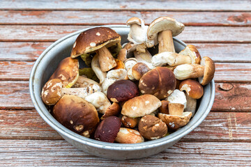 Bowl with porcini mushrooms on a wooden table