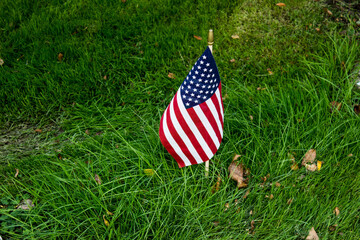american flag on a grass