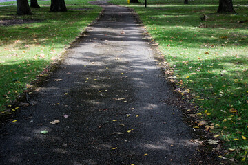 pathway in the park