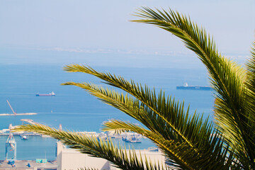 Fototapeta premium Scenic view of harbour of Port through the palm tree leaves in Israel.