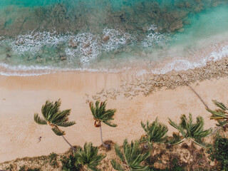 Aerial drone panoramic view of the paradise beach with sandy and rocky shore, palm trees and blue water of Atlantic Ocean, Las Terrenas, Samana, Dominican Republic