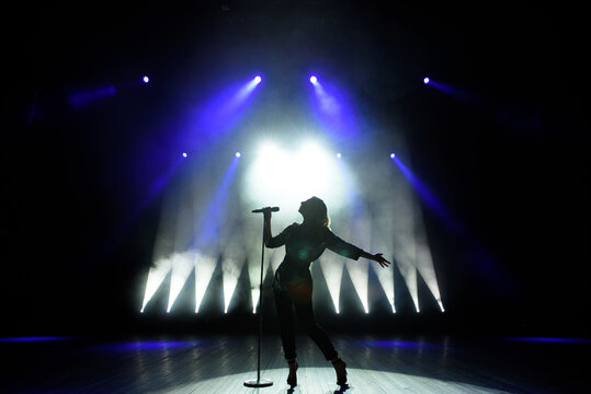 Silhouette of singer on stage. Dark background, smoke, spotlights.