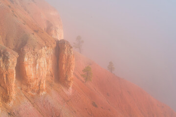 Fog in Bryce Canyon National Park, Utah, Usa, America