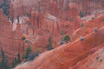 Bryce Canyon National Park, Utah, Usa, America