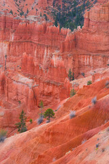 Bryce Canyon National Park, Utah, Usa, America