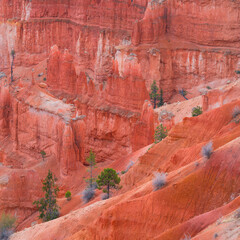 Bryce Canyon National Park, Utah, Usa, America