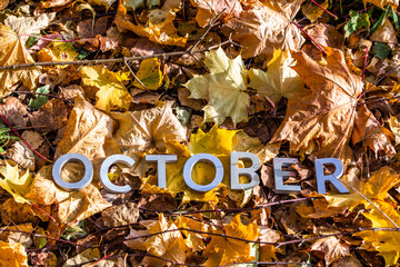 the word october laid with silver metal letters on the ground dry maple leaves