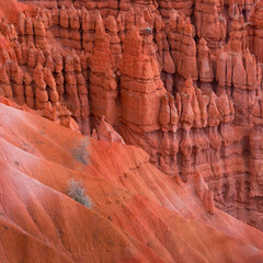 Bryce Canyon National Park, Utah, Usa, America