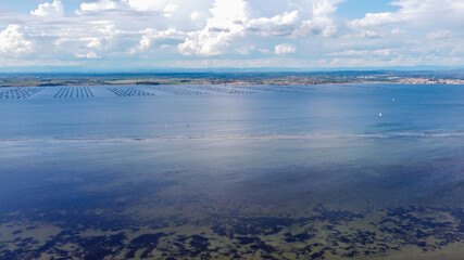Oyster culture in the pond of Thau near sete in the South of France