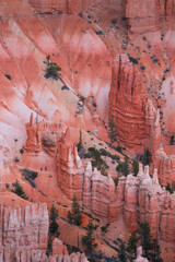 Bryce Canyon National Park, Utah, Usa, America