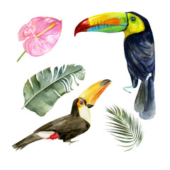 Watercolor portrait of toucans in the forest vector illustration. Exotic birds with tropical leaves with red flowers. Two wild keel-billed tucan with leaf. Nature travel in Costa Rica, wildlife..