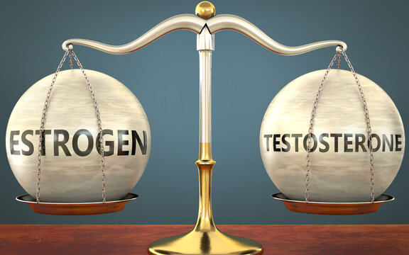 estrogen and testosterone staying in balance - pictured as a metal scale with weights and labels estrogen and testosterone to symbolize balance and symmetry of those concepts, 3d illustration