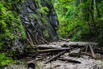 Slovak Paradise National Park, a trail in the woods. A beautiful landscape