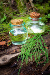 healthy tincture infusion and bunch of horsetail healing herbs. Herbal medicine.